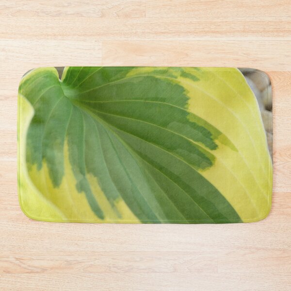 Item preview, Hosta  'Wide Brim'  Plantain lily  designed and sold by Chris Burrows.
