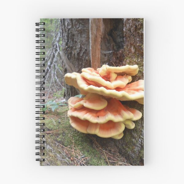 Item preview, Large Tree Fungi designed and sold by dutchiens.