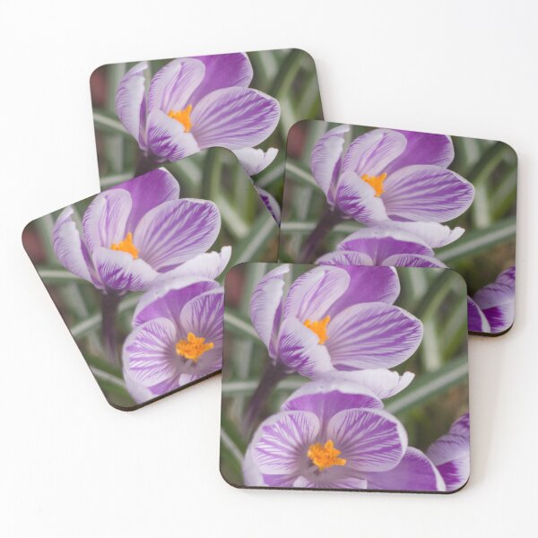 Item preview, Spring has arrived - purple crocus designed and sold by Latch Farm  Studios.