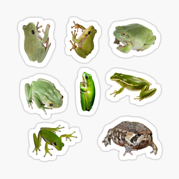 Vintage Vinyl Stickers - Waterproof Toad Stickers for Frog Lovers – Pergamo  Paper Goods