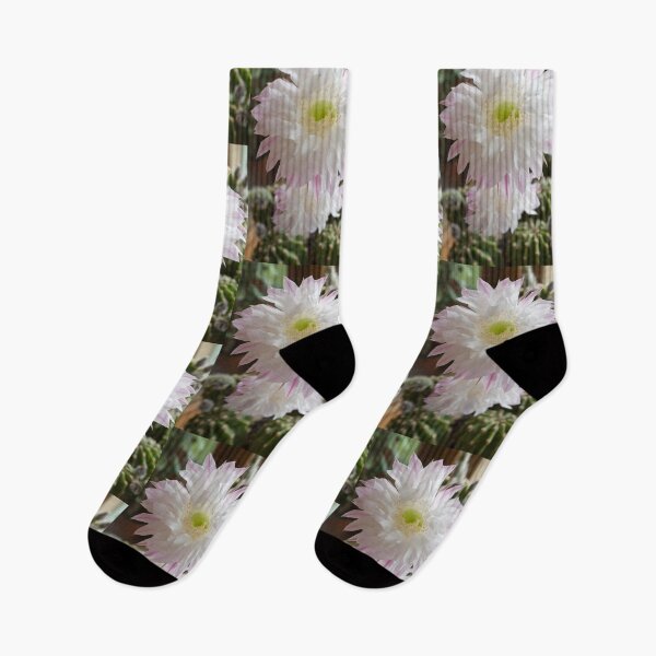 Item preview, Cactus flower, one day wonder designed and sold by Latch Farm  Studios.