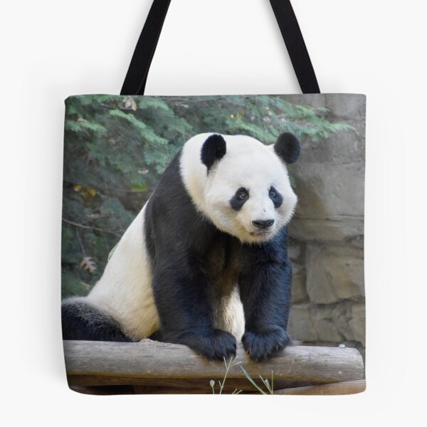 Item preview, Giant Panda Yang Yang at Zoo Atlanta designed and sold by Zoo and Nature Photography by Karie.