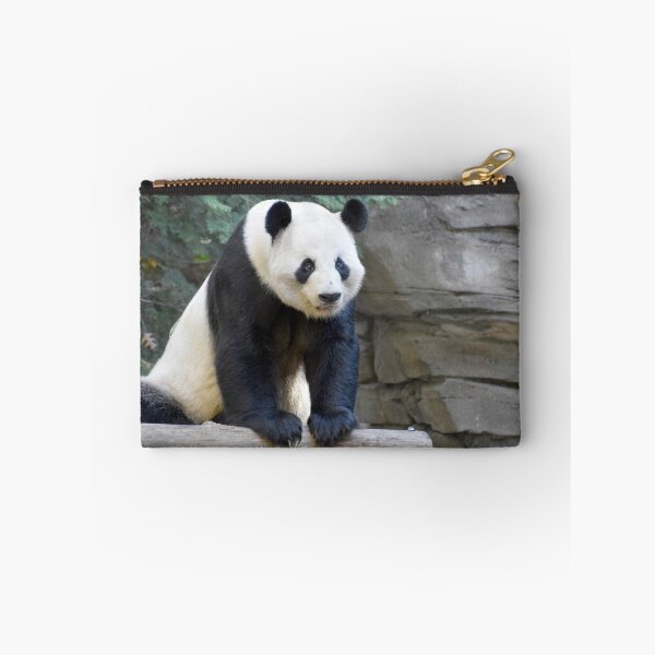 Item preview, Giant Panda Yang Yang at Zoo Atlanta designed and sold by Zoo and Nature Photography by Karie.