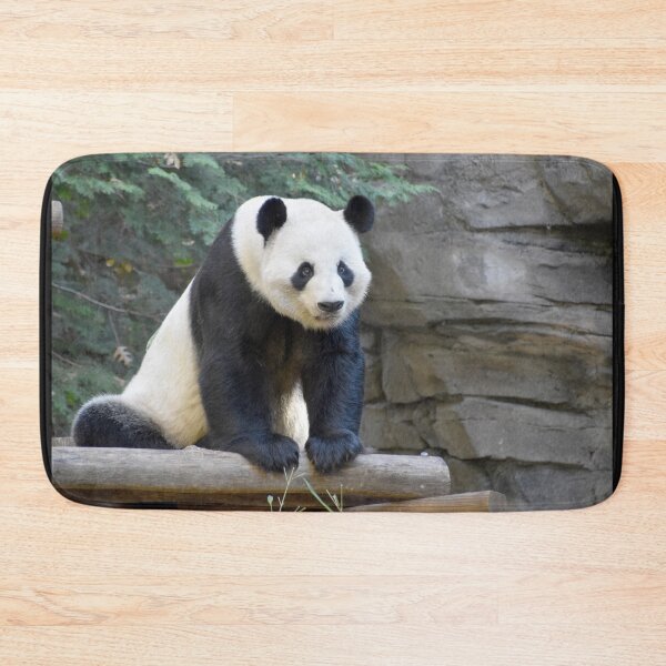 Item preview, Giant Panda Yang Yang at Zoo Atlanta designed and sold by Zoo and Nature Photography by Karie.