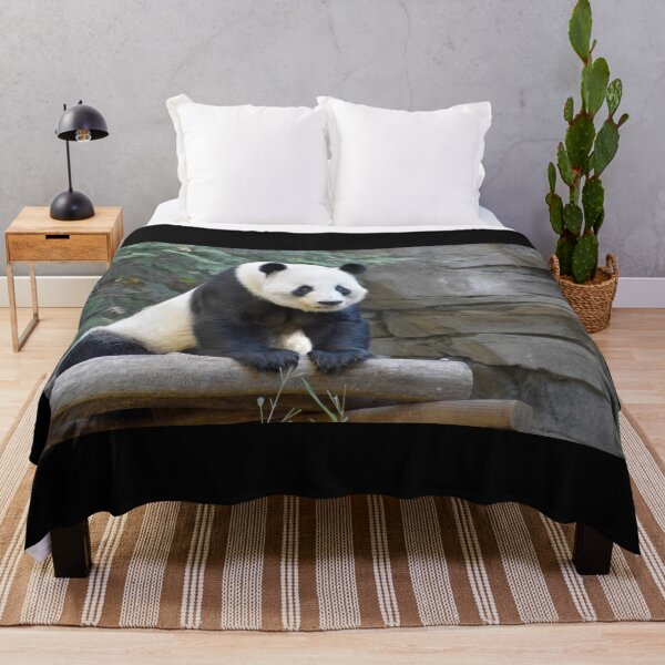 Item preview, Giant Panda Yang Yang at Zoo Atlanta designed and sold by Zoo and Nature Photography by Karie.