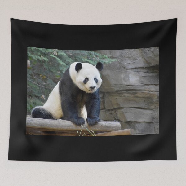 Item preview, Giant Panda Yang Yang at Zoo Atlanta designed and sold by Zoo and Nature Photography by Karie.