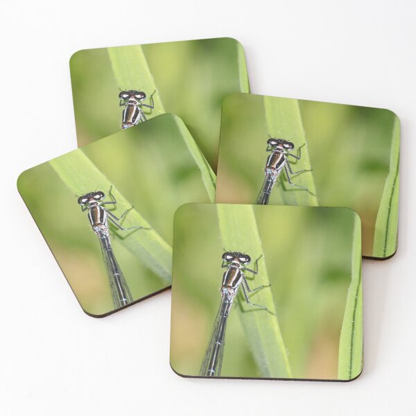 Item preview, Azure damselfly II designed and sold by GreyFeatherPhot.