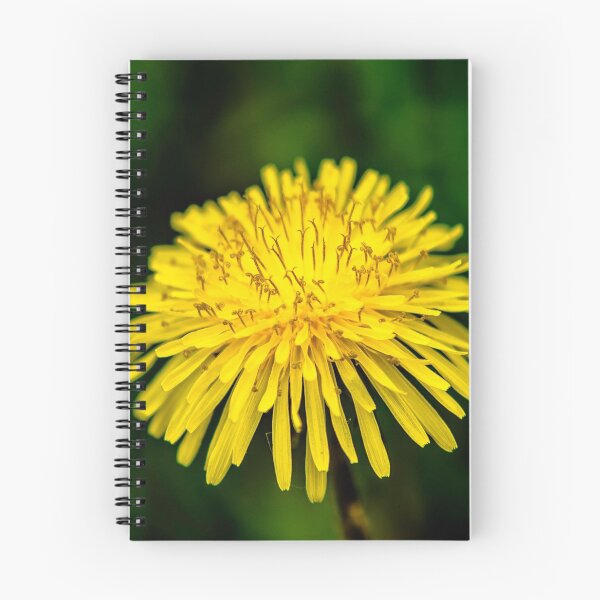 Item preview, SPRINGTIME Is DANDY designed and sold by KennyBImages899.