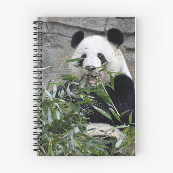Item preview, Giant Panda Lun Lun at Zoo Atlanta designed and sold by Zoo and Nature Photography by Karie.