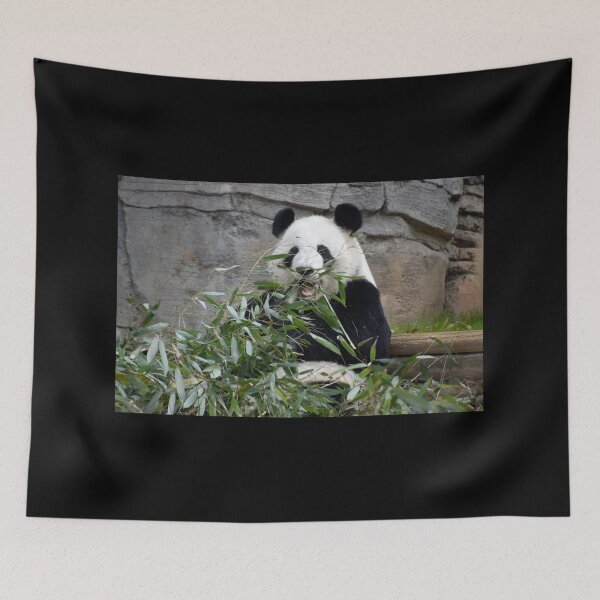 Item preview, Panda gigante Lun Lun en el zoológico de Atlanta designed and sold by Zoo and Nature Photography by Karie.