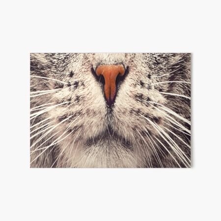 Impressions Rigides Sur Le Theme Bouche De Chat Redbubble