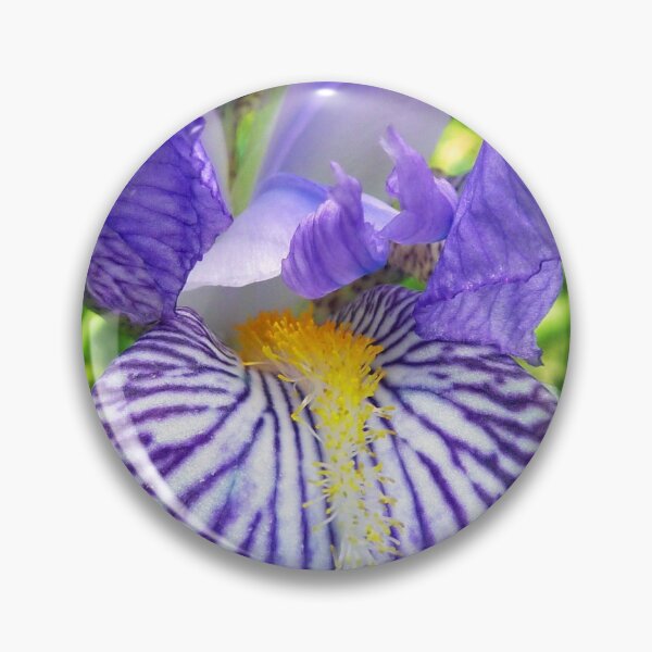 Item preview, Purple Bearded Iris Monsignor Macro designed and sold by BluedarkArt.