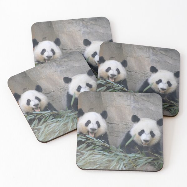 Aperçu de l'œuvre Pandas géants Ya Lun et Xi Lun au Zoo d'Atlanta créée et vendue par Zoo and Nature Photography by Karie.