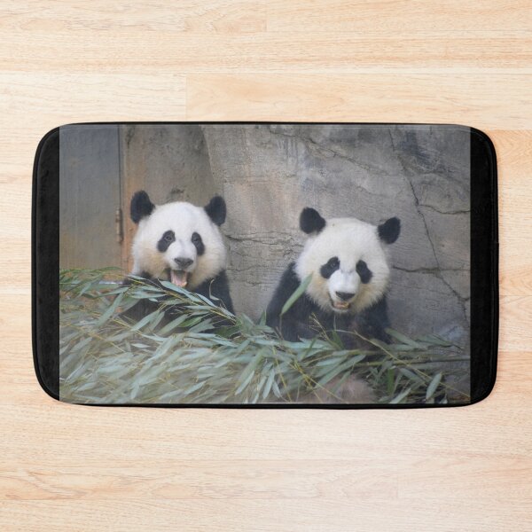 Item preview, Giant Pandas Ya Lun and Xi Lun at Zoo Atlanta designed and sold by Zoo and Nature Photography by Karie.