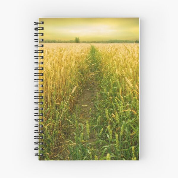Item preview, Wheat field designed and sold by Geraldas Galinauskas.