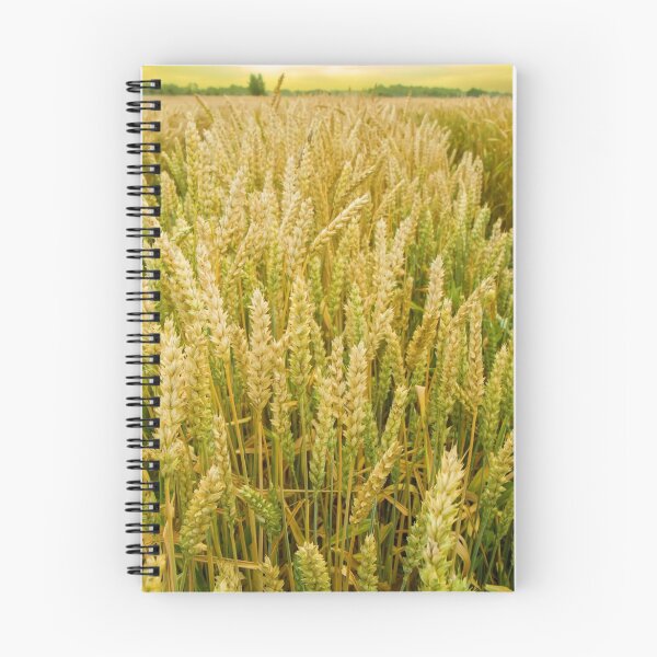 Item preview, Wheat field designed and sold by Geraldas Galinauskas.