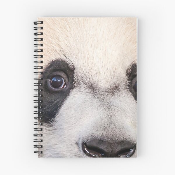 Item preview, Giant Panda Bei Bei at the National Zoo designed and sold by Zoo and Nature Photography by Karie.
