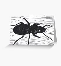 Beetle Greeting Card