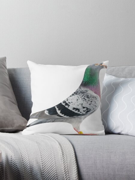 Item preview, Racing pigeon designed and sold by Perzikman1.