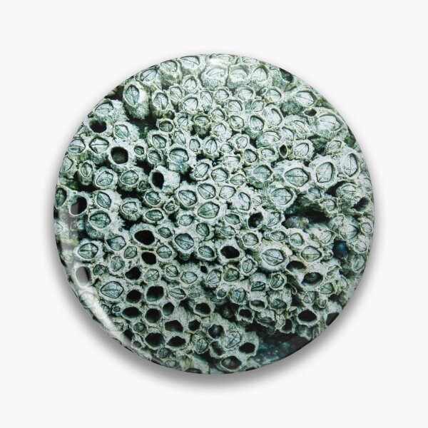 Item preview, Trypophobia designed and sold by stitchling.