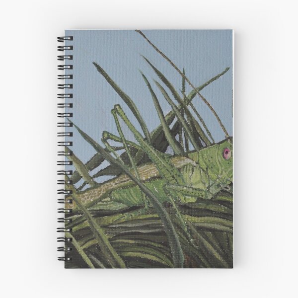 Item preview, Slender Meadow Katydid designed and sold by Eco-Artopia.
