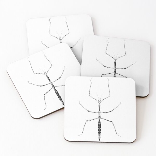 Item preview, Bug Illustration  designed and sold by primawm.