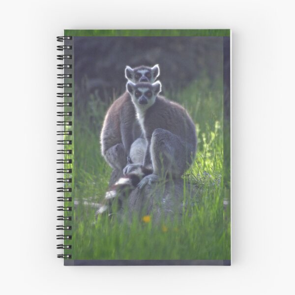 Item preview, Lemur peek a boo designed and sold by Latch Farm  Studios.