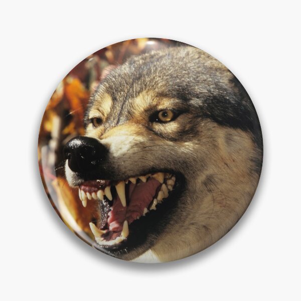 Item preview, Wolf, grin, predator, wolf grin, animals, dangerous animals, t-shirts with animals. designed and sold by Yanulik.