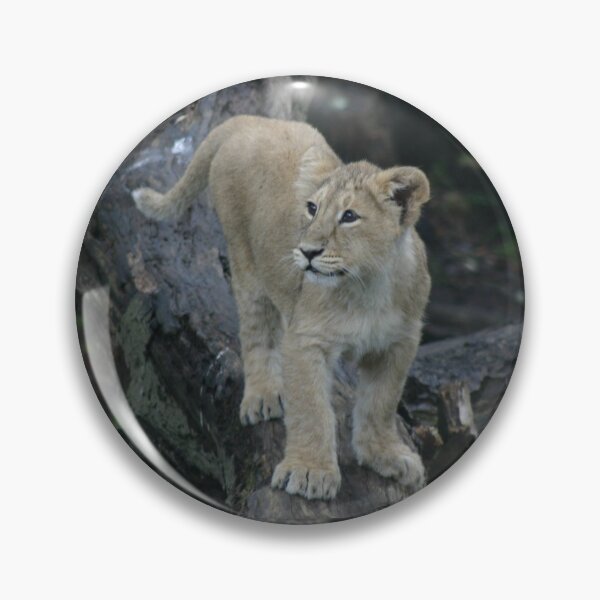 Item preview, Young lion cub designed and sold by Latch Farm  Studios.