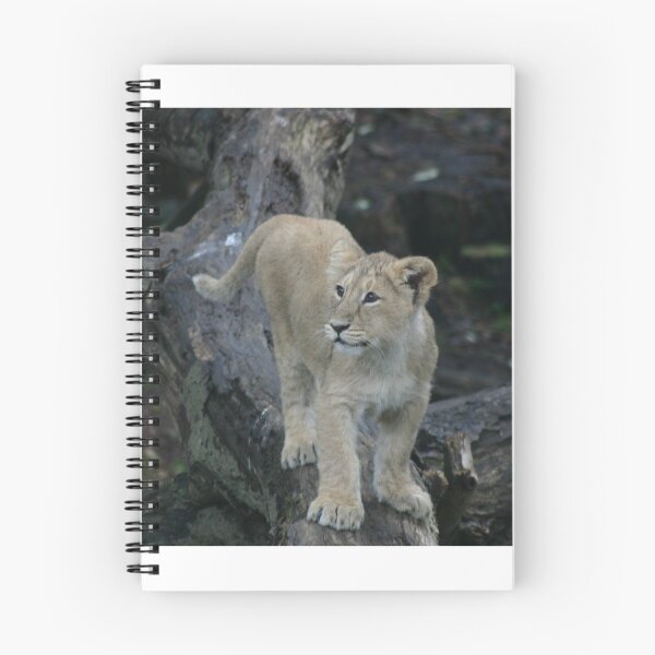 Item preview, Young lion cub designed and sold by Latch Farm  Studios.