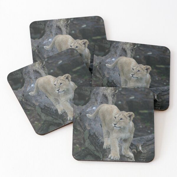 Item preview, Young lion cub designed and sold by Latch Farm  Studios.