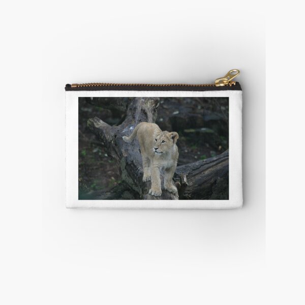 Item preview, Young lion cub designed and sold by Latch Farm  Studios.