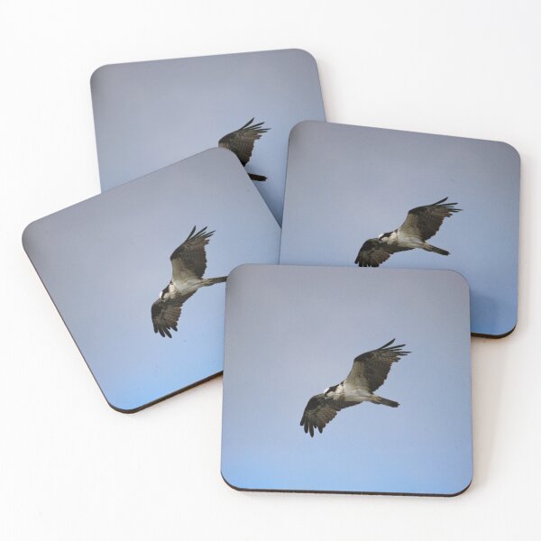 Item preview, Osprey in Flight designed and sold by angelsunawares.