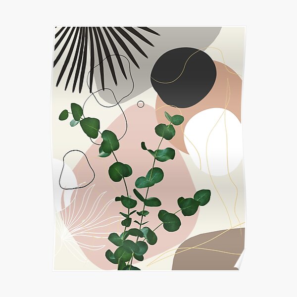 Eucalyptus Fan Palm Finesse #1 #tropical #decor #art Poster