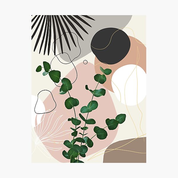 Eucalyptus Fan Palm Finesse #1 #tropical #decor #art Photographic Print