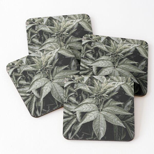 Item preview, Canalside symmetry. designed and sold by shesjustcurious.
