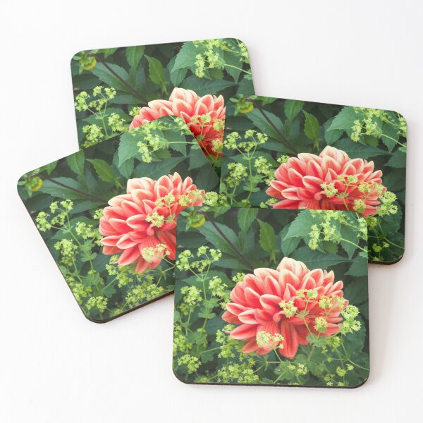 Item preview, Dahlia designed and sold by Forestpictures.