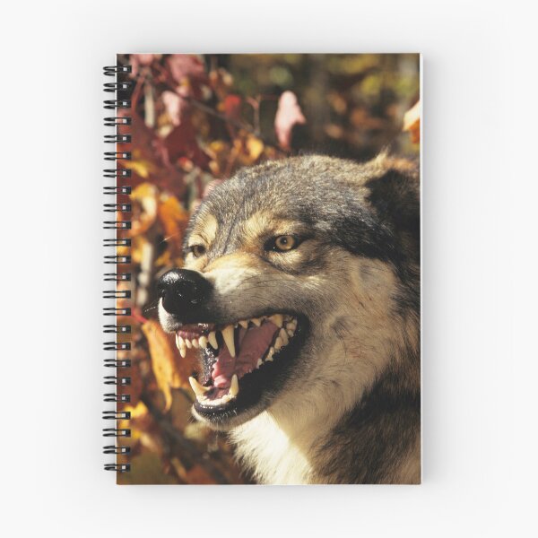 Item preview, Wolf, grin, predator, wolf grin, animals, dangerous animals, t-shirts with animals. designed and sold by Yanulik.