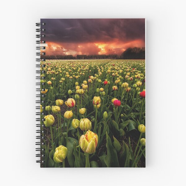 Item preview, Heavenly fields designed and sold by JorgeMaia.