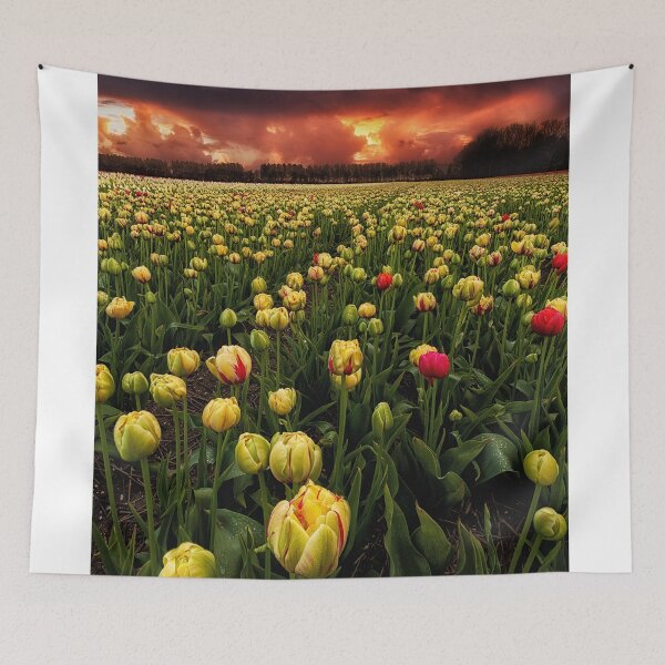 Item preview, Heavenly fields designed and sold by JorgeMaia.