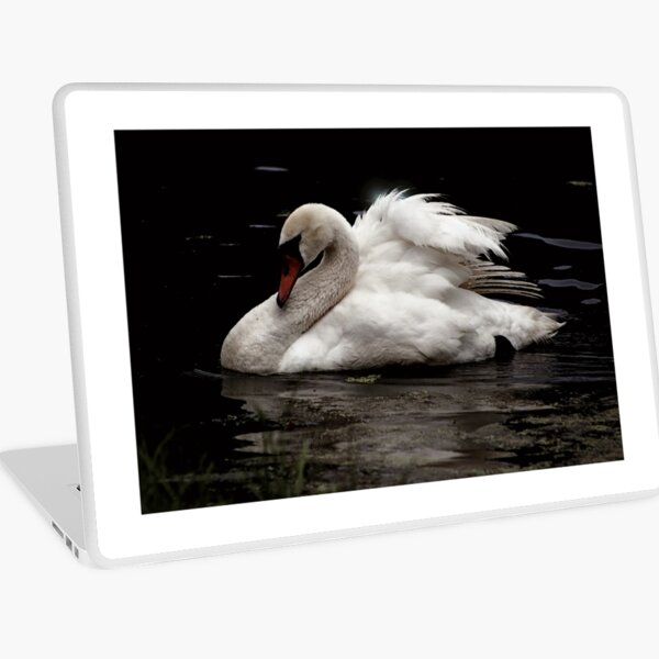Swan Laptop Skin