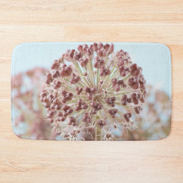 Item preview, Allium karataviense   AGM  Kara Tau garlic  Seed heads  designed and sold by Chris Burrows.