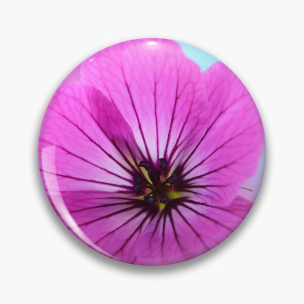 Item preview, Geranium psilostemon  AGM  Armenian cranesbill   designed and sold by Chris Burrows.
