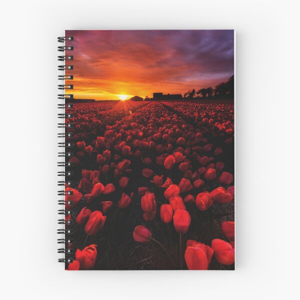 Item preview, Sunset fire designed and sold by JorgeMaia.