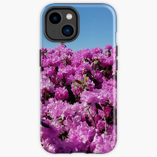 View of "Mount Rhodendron" on a clear day iPhone Tough Case