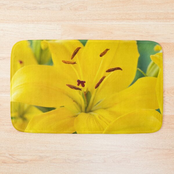 Item preview, Lilium  'Butter Pixie'  Dwarf Asiatic lily  designed and sold by Chris Burrows.