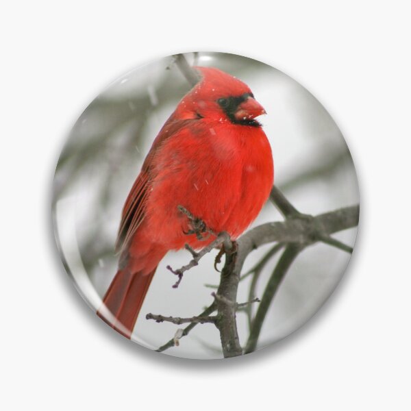 Winter Redbird Pin