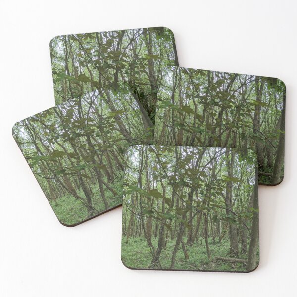 Item preview, Cannock Chase - Brindley Heath designed and sold by jeremydwilliams.