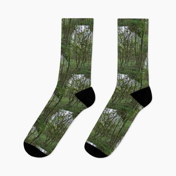 Item preview, Cannock Chase - Brindley Heath designed and sold by jeremydwilliams.
