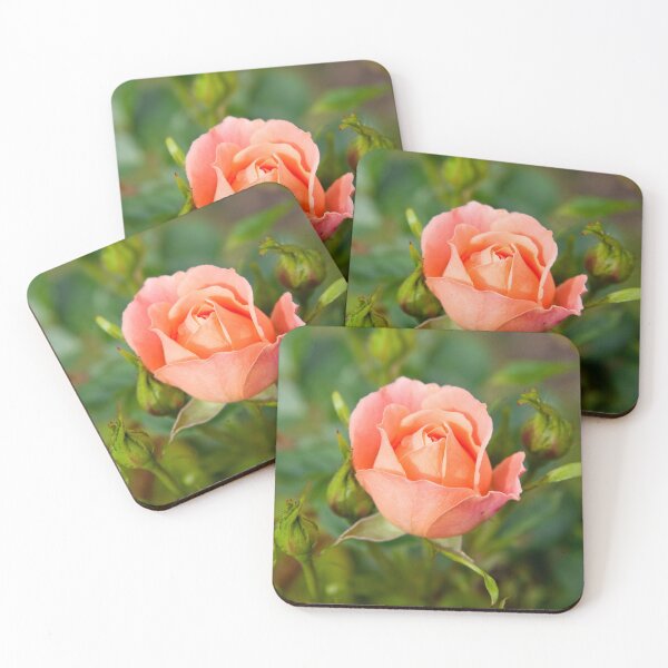 Item preview, Peach Rose designed and sold by Kezzles.